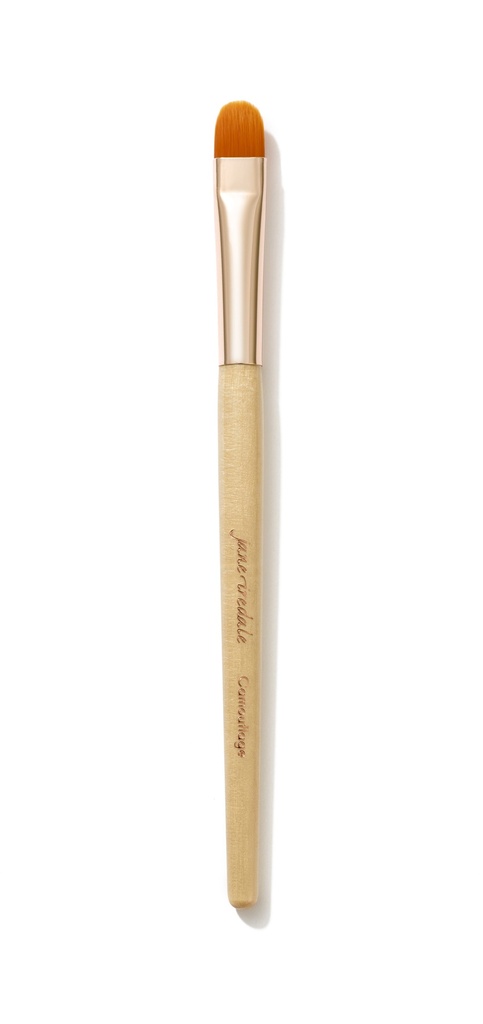 JANE IREDALE : CAMOUFLAGE BRUSH